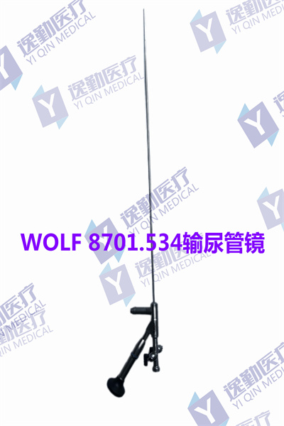 WOLF 8701.534输尿管镜_副本.jpg